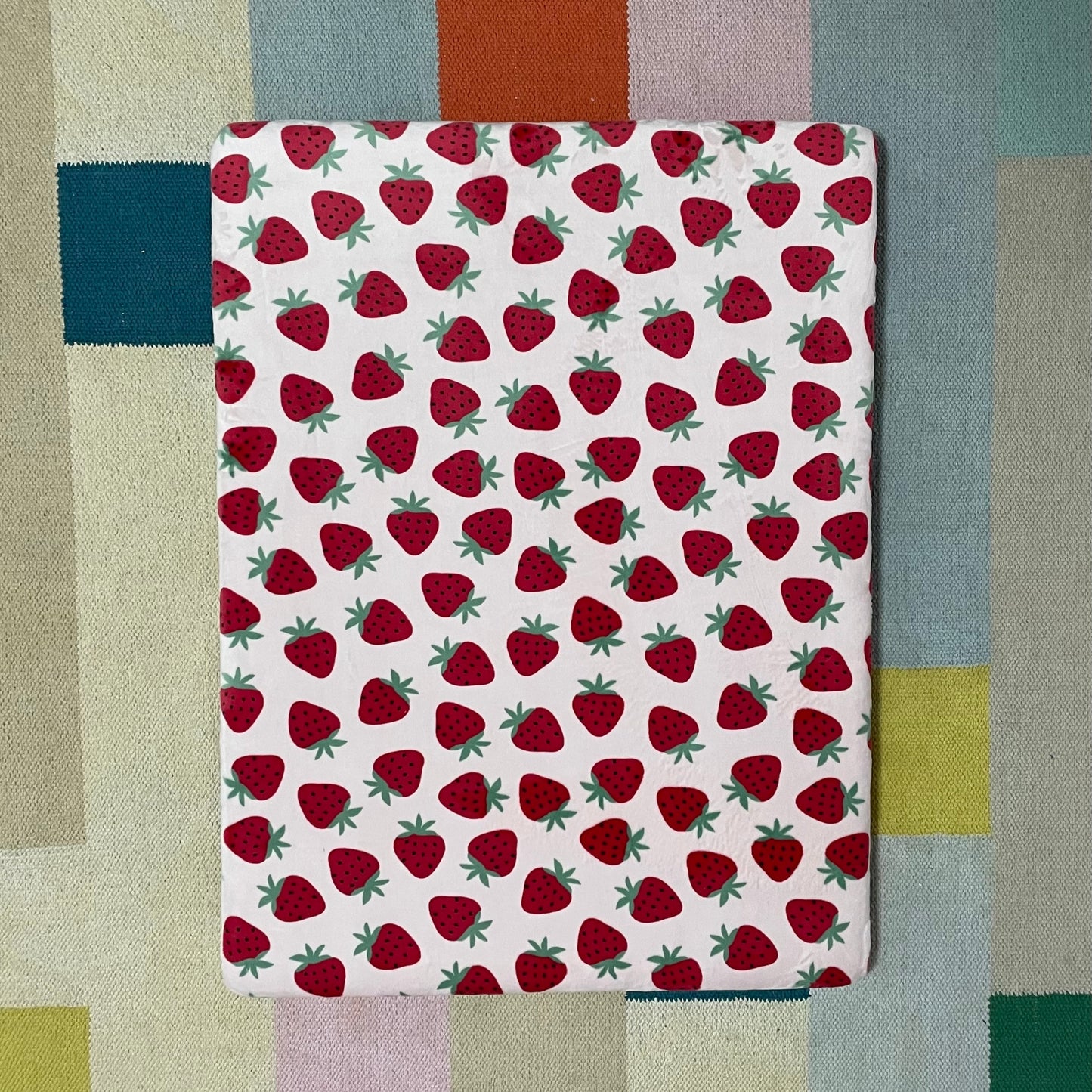 STRAWBERRY MINKY