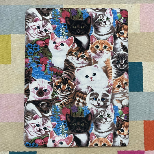 CAT PARTY