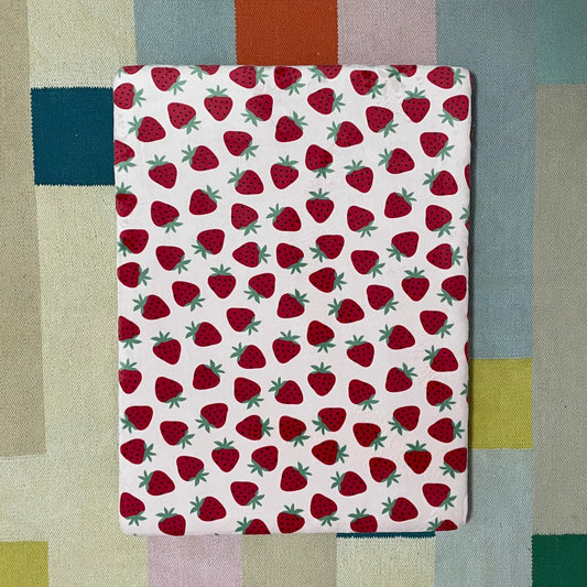 STRAWBERRY MINKY